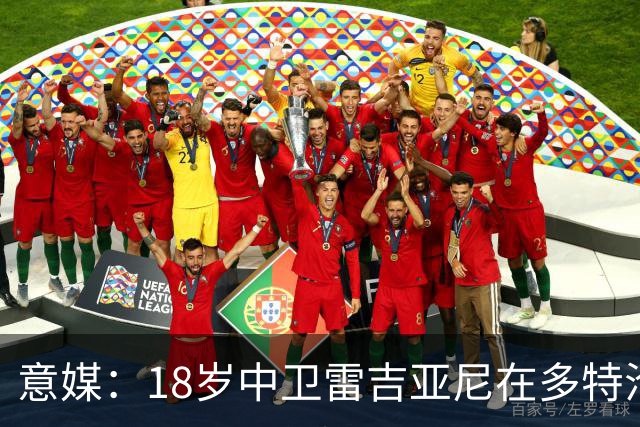 意媒：18岁中卫雷吉亚尼在多特沦为边缘人，AC米兰有意替代加比亚